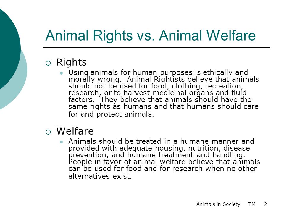 list of animal rights